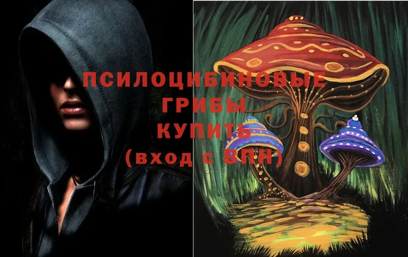 Галлюциногенные грибы Cubensis  Великий Устюг 